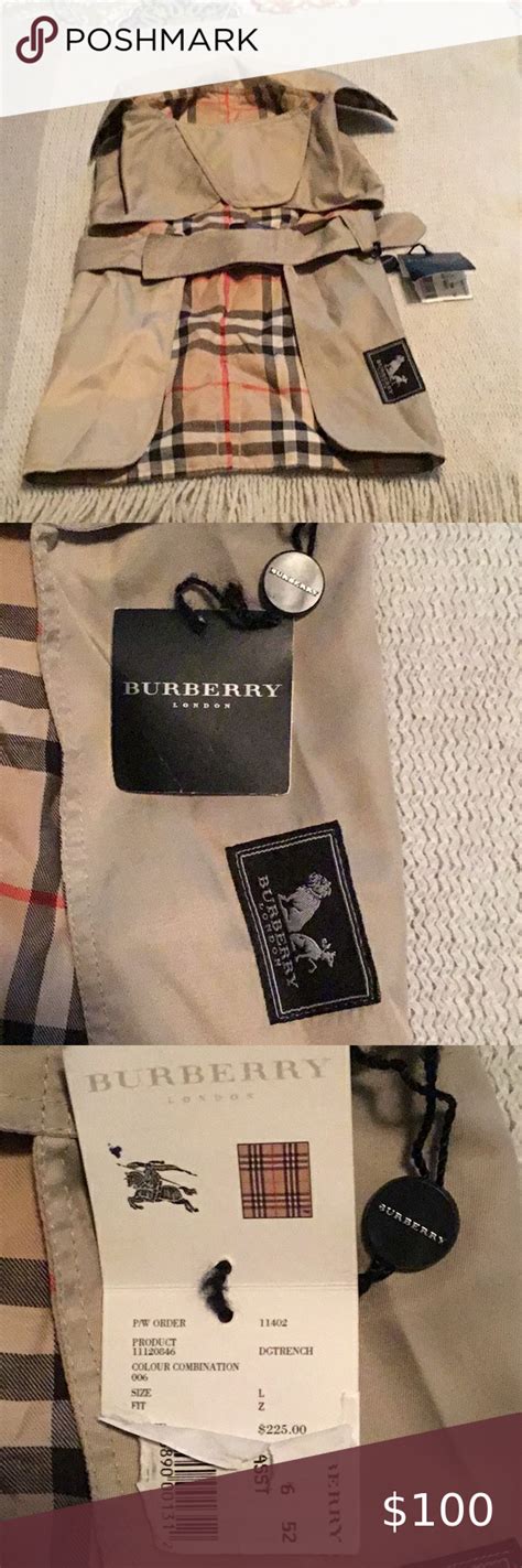 Burberry Dog for sale 